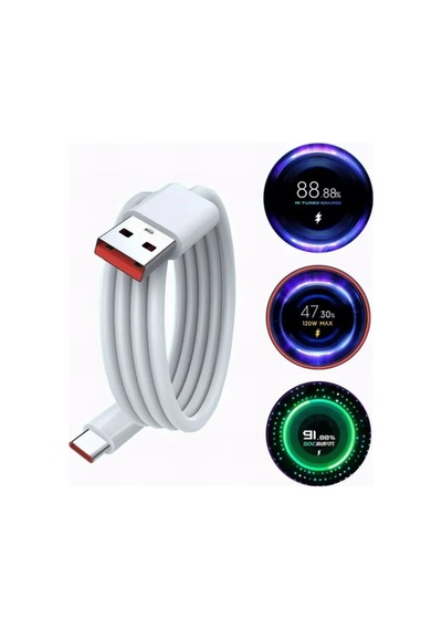 Type-c 67w Watt Ultra Hızlı Şarj Aleti Adaptör Kablo Set Standart
