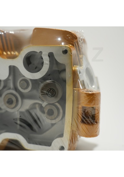 Cg 125 Üst Kapak Gold Çita 001