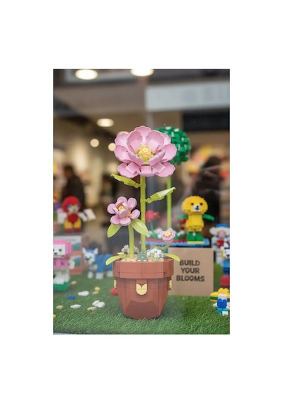 Çiçek Japon Pembe Gülü