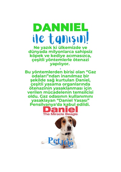 Petjoo 21.Danniel Mavi-Yeşil Qr'lı Köpek Künyesi
