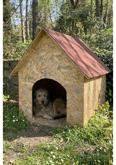 Reyo Köpek Kulübesi Büyük Boy Osb Xl Kırmızı Çatılı100x100x78 Cm