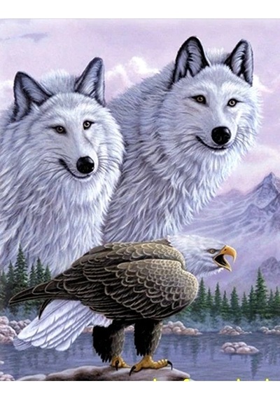 3 Boyutlu Resim Kartallı Kurt Resmi Tablosu 40x60 Cm 2e94f