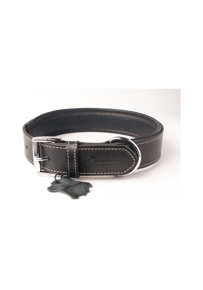 Privilege Hakiki Yağlı Deri Köpek Boyun Tasması S Siyah 2.5 x 32-41 CM Siyah