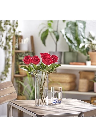Ikea Smycka Yapay Çiçek, Kırmızı, 40 Cm, İç/dış Mekan Yıldız Çiçeği