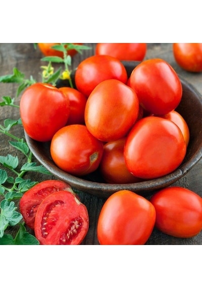 Ata Tohum Geleneksel Roma Organic Domates Tohumu 20 Tohum