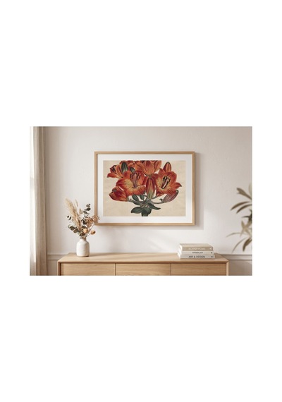 Botanik Curtis Botanik Dergisi Şemsiye Çiçekliler Çerçevesiz Poster 21x30 Cm A4 Botanik Doğa Tarihi
