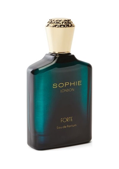 Sophie London Forte Erkek Parfüm EDP 100 ML