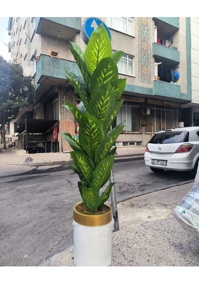 Rüzgar Yapay Çiçekçilik Krem Saksıda Difenbahya Ağacı Yeşil