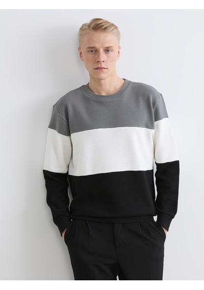 Lcw Vision Antrasit Bisiklet Yaka Renk Bloklu Erkek Sweatshirt