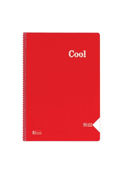 Keskin 321630-99 A4 96yp Düz Cool Spr Pp Kpk Def Çok Renkli