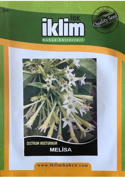 Melisa Çiçek Tohumu Cestrum Nocturnum Takribi 40 Tohum N112937