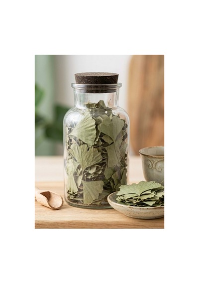 Ginkgo Biloba Ginkgo Biloba 250 Gram - 939187551