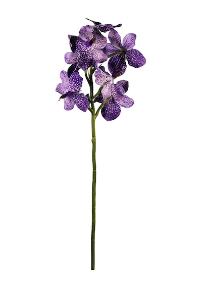 Yapay Vanda Orkide Dalı Mor 52 Cm Mor