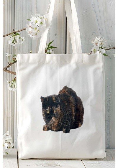 Art Hediye Exotic Shorthair Kedi Kişiye Özel Baskılı Bez Çanta Omuz Çantası Desen 6 Çok Renkli