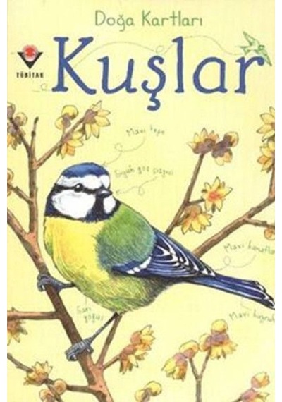 Doğa Kartları - Kuşlar - Ybve-656611