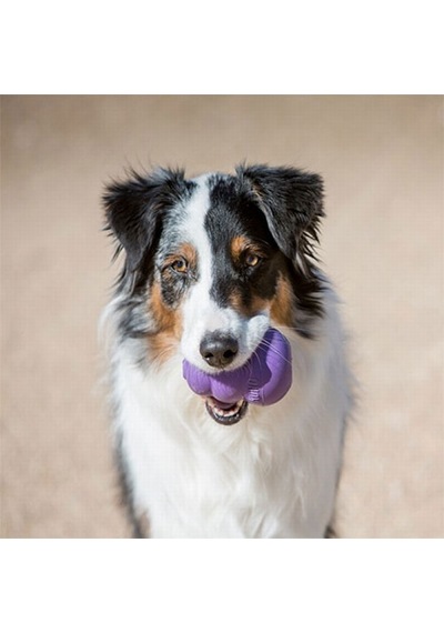 Kong Senior Yaşlı Köpek Oyuncağı Medium 152-50074.02