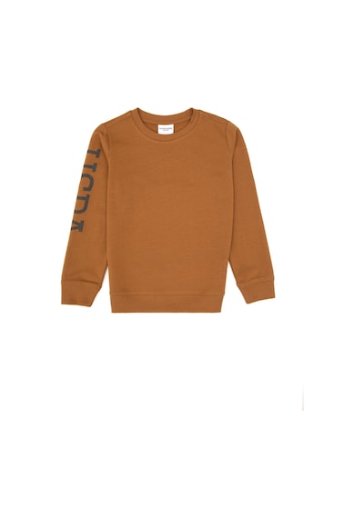 U.S. Polo Assn. Erkek Çocuk Camel Bisiklet Yaka Basic Sweatshirt 50313831-VR233 U.S. Polo Assn. Erkek Çocuk Camel Bisiklet Yaka Basic Sweatshirt 50313831-VR233