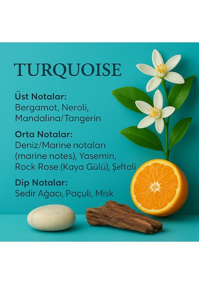 Machuu Turquoise Erkek Parfüm EDP 50 ML