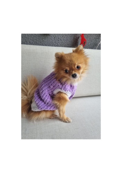 Lila Renk El Örgüsü Kadife Kedi Köpek Kıyafeti Köpek Giysisi Sweatshirt Kazak Toppo11