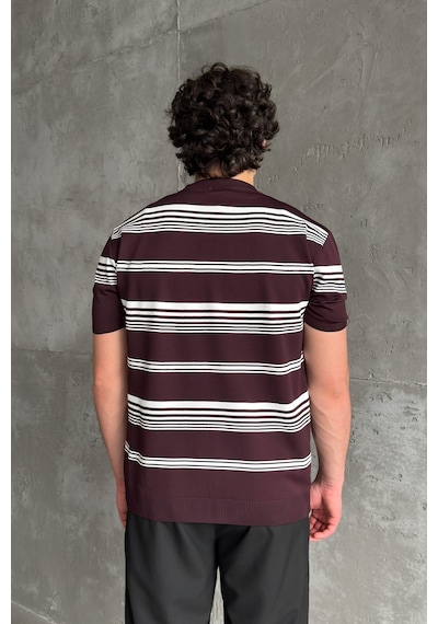 Erkek Bisiklet Yaka Oversize Çizgili Triko T-shirt Bordo