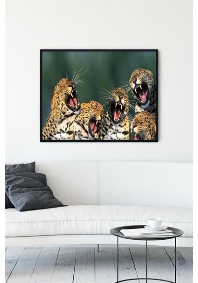 Pster11954 Gülen Leoparlar Eğlenceli Mizahi Çerçeveli Tablo 50x70cm