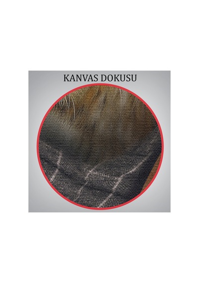 Kaplan Adam Dekoratif Kanvas Duvar Yüksek Kaliteli Kanvas Canvas Tablo