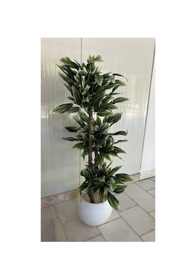 Yapay Ceviz Ağacı - 3 Gövdeli Beyaz Ve Yeşil Yapraklı Küre Saksı 170 Cm