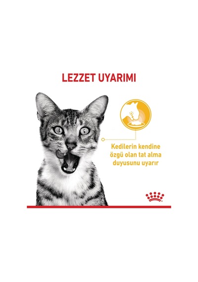 Sensory Tat Duyusu İçin Sos İçerisinde Yaş Kedi Maması 12 X 85g