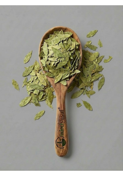 Sinameki Çayı Sinameki Yaprağı Senna Leaf Senna Alexandrina Kurutulmuş Bitki 100 G Doğal