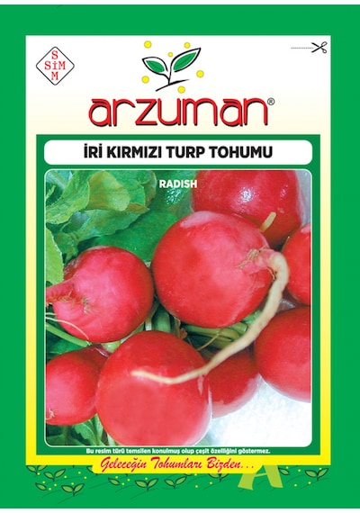 İri Kırmızı Turp Tohumu 10 GR