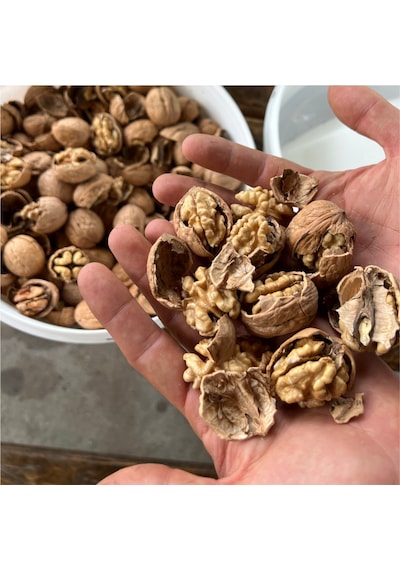 Kadıoğlu Ckk45 Ceviz Ve Fındık Kırma Makinesi - Agro