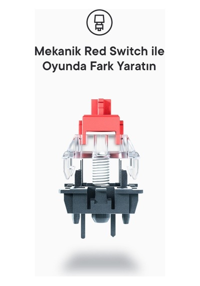 Everest Amber Beyaz Type-c Bağlantılı Rgb Ledli Mekanik Gaming Oy