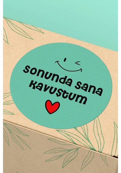 Sonunda Sana Kavuştum Mint Sticker 3x3cm St2343 Çok Renkli