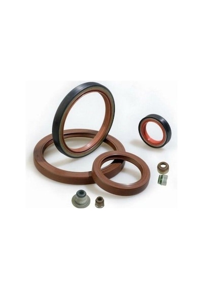 17x28x7 5 Adet Viton Yağ Keçesi Isıya Dayanıklı Tc Oıl Seal Vıton