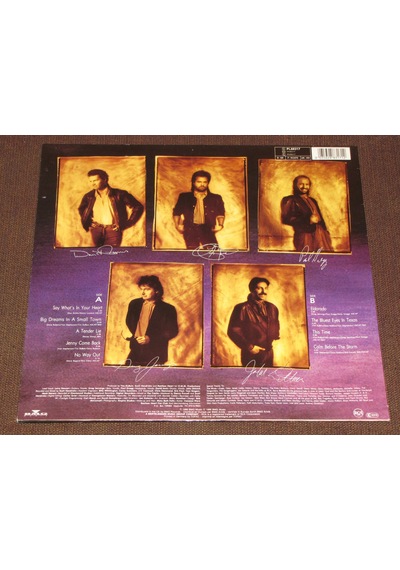 Restless Heart - Big Dreams In A Small Town - 33Lp Albüm