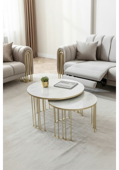 Usta Mekan Lotus Gold Marmo Lak Panel 1+1 Orta Sehpa Çok Renkli