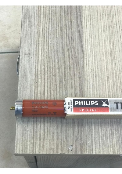 18W Philips Kırmızı Floresan