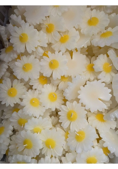 Bernami Mum Pinterest 15 Adet Kraft Kutulu Papatya Mum Hediyelik, Nişan, Düğün, Sünnet, Söz, Kına, Doğum Günü Diğer