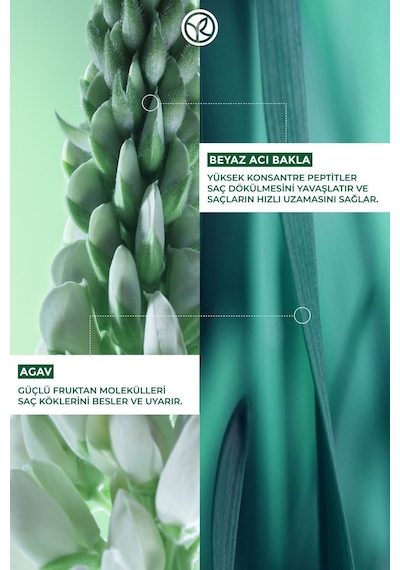 Yves Rocher Saç Dökülmesine Karşı Güçlendirici Prebiyotik Vegan Şampuan 300 ML