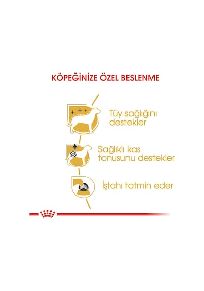 Royal Canin Poodle Yetişkin Pouch Yaş Köpek Maması 12 x 85 G