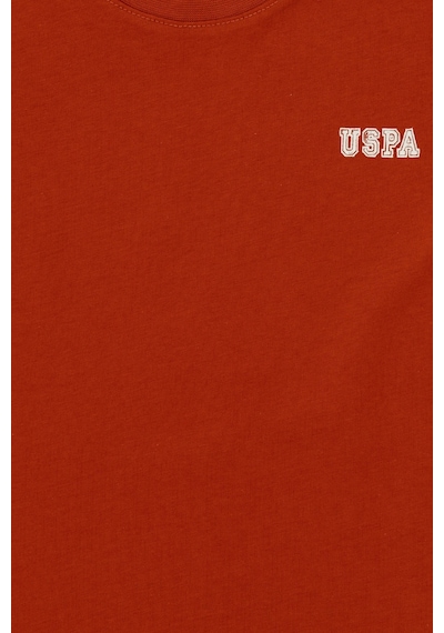 U.S. Polo Assn. Erkek Çocuk Kiremit Bisiklet Yaka Tişört 50298086-VR031