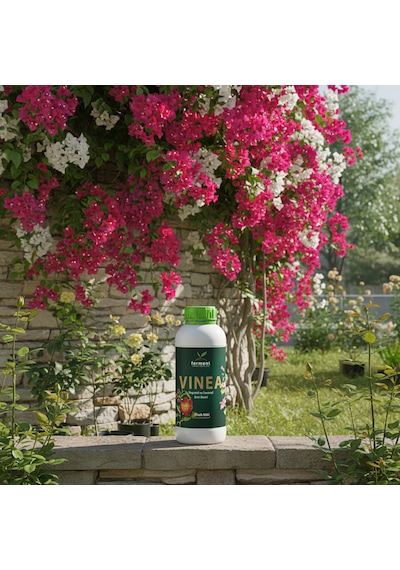 Vinea İkili 500 Ml 2 Adet Dış Mekan Süs Bitkisi Besini - Begonvil Ve Hanımeli İçin Hızlı Büyüme 500 ML