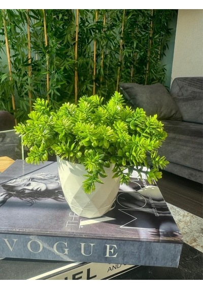 Nettenevime Yapay Çiçek Beyaz Saksıda Lotus Dekoratif Masa Çiçeği 15cm Diğer