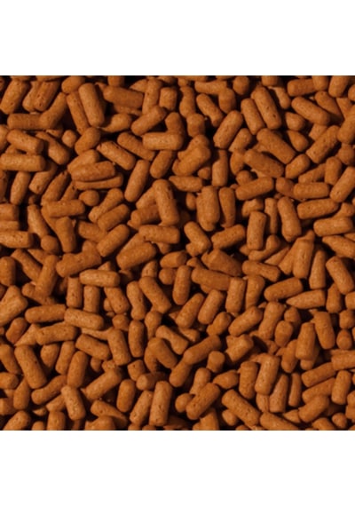 Tropical Cichlid Arowana Large Sticks 50 Gram Açık