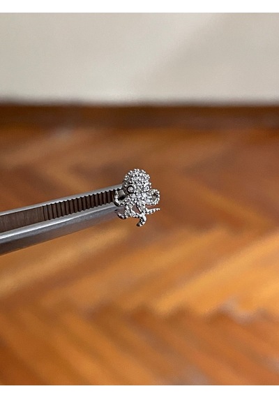 316 L Cerrahi Çelik Dudak Piercing Kıkırdak Helix Tragus Conch Zirkon Taşlı Figürlü Piercing Kırmızı