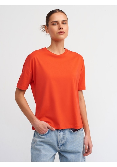 Dilvin Bisiklet Yaka Kısa Tshirt Füme