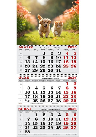 2026 Yılı Gemici Takvimi-bahçede Kedi Ve Köpek