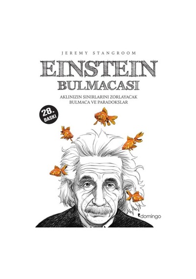 Einstein Bulmacası Aklınızın Sınırlarını Zorlayacak Bulmaca Ve Paradokslar