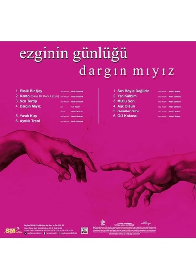 Ezginin Gunlugu Dargınmıyız - Plak