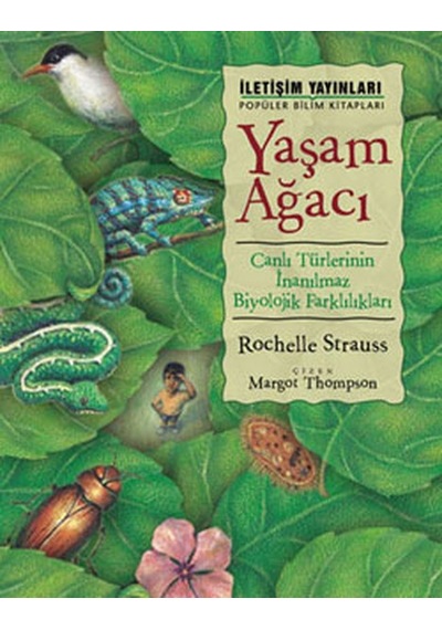 Yaşam Ağacı - Rochelle Strauss - İletişim Yayınları